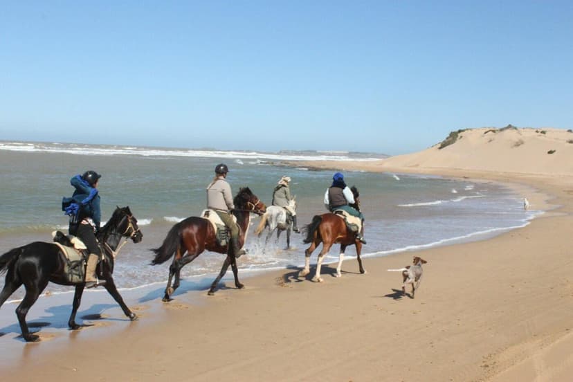 Essaouira 4