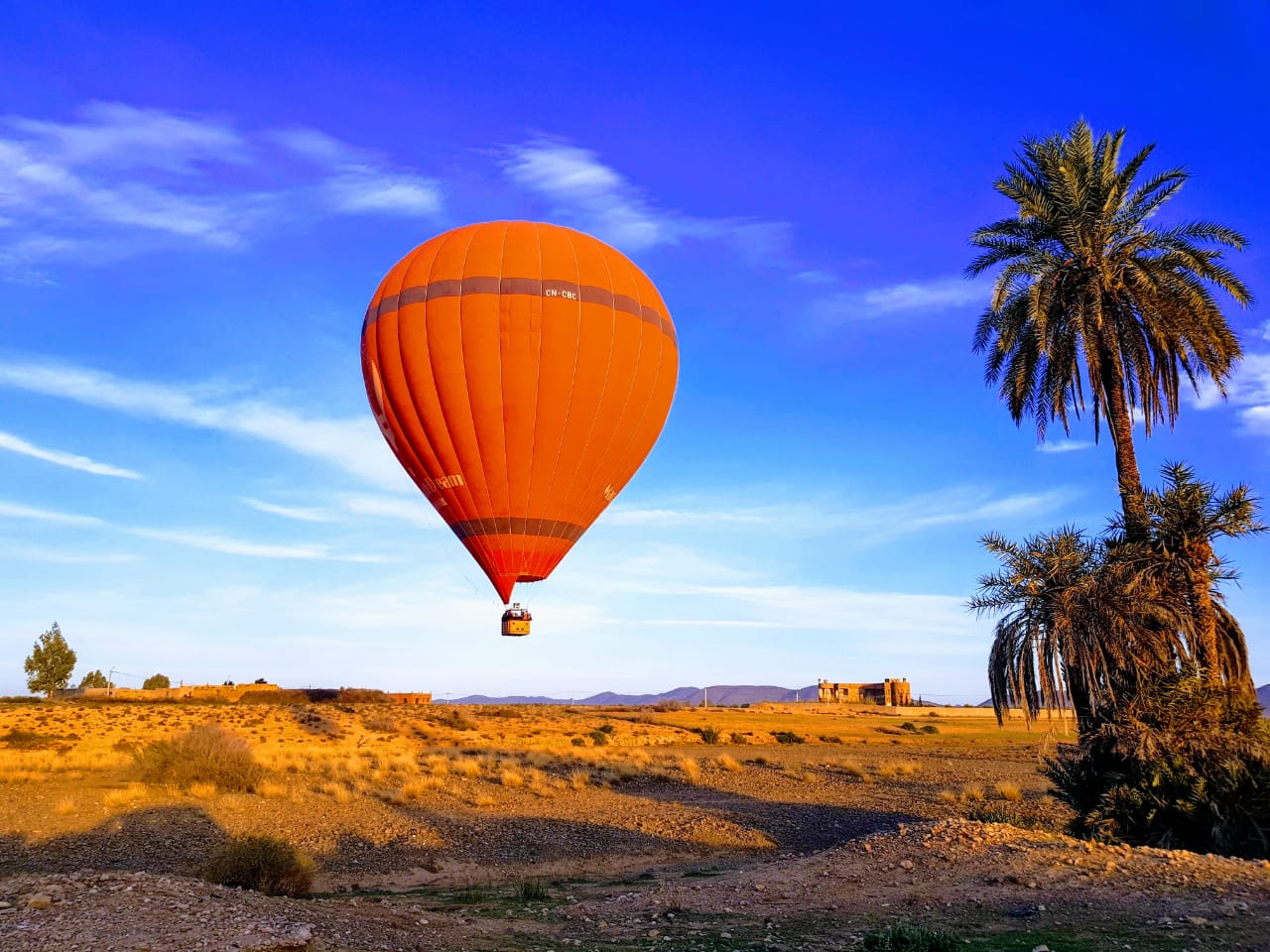 Marrakech Aura 5
